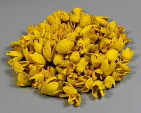 Image for Bakuli inalbit galben