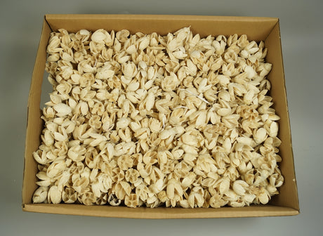 Image for Bakuli inalbit 3kg