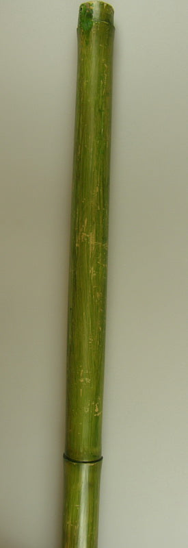 imagine produs Bambus 2,1m×6-8cm verde deschis