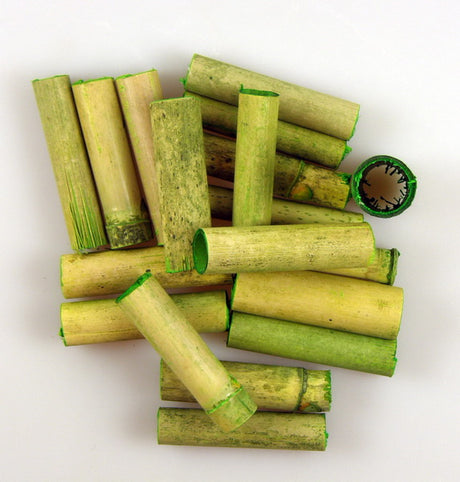 Image for Bambus 6cm verde deschis