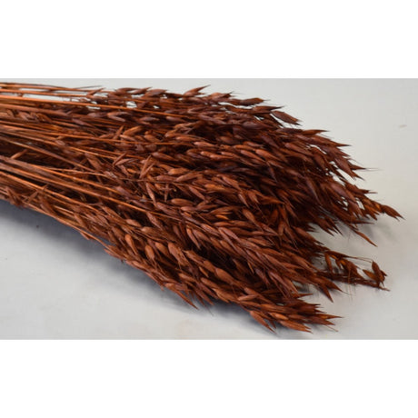 Ovaz 150gr maro