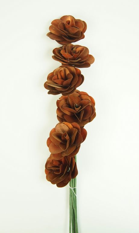 Image for Begonie maro