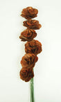 Image for Begonie maro