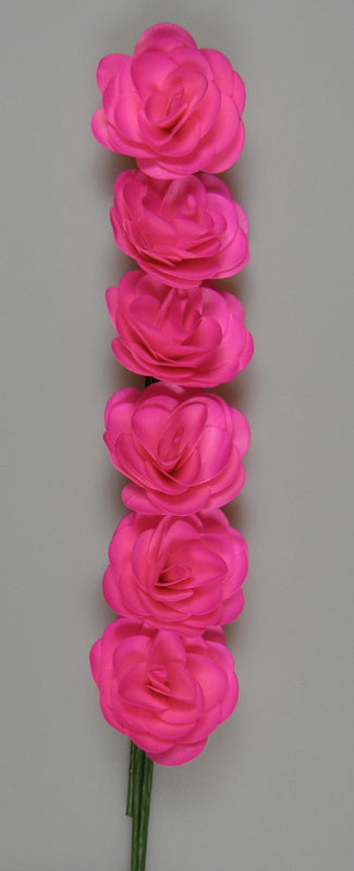 Image for Begonie roz