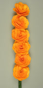 Image for Begonie portocaliu