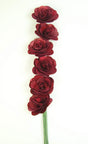 Image for Begonie rosu inchis