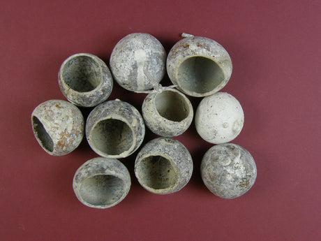 Image for Bell cup mini cu chiciura