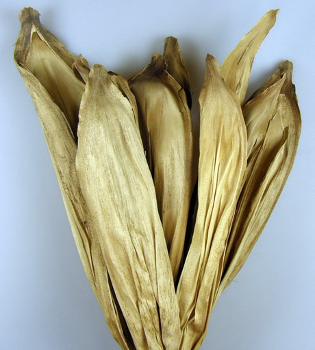 Image for Frunze betal natur