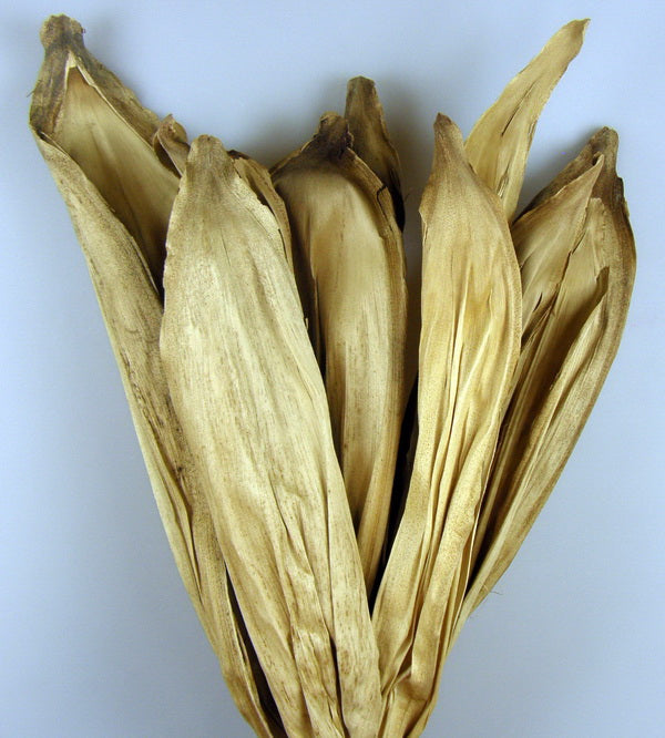 Image for Frunze betal natur