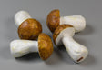 Image for Ciuperca 6cm maro