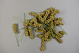 Image for Pick coacaze 4cm auriu cu glitter