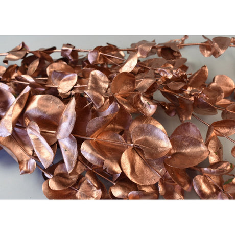 Creanga eucalypt cu frunze rotunde preparat bronz