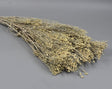 Image for Broom Bloom 100gr vopsit alb