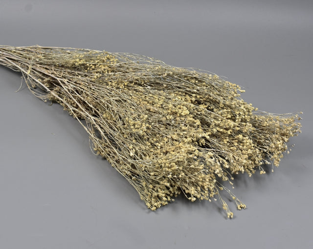 Image for Broom Bloom 100gr vopsit alb