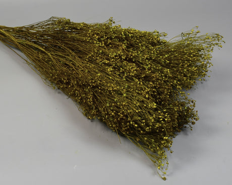 Image for Broom Bloom 100g verde deschis