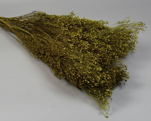 Image for Broom Bloom 100g verde deschis