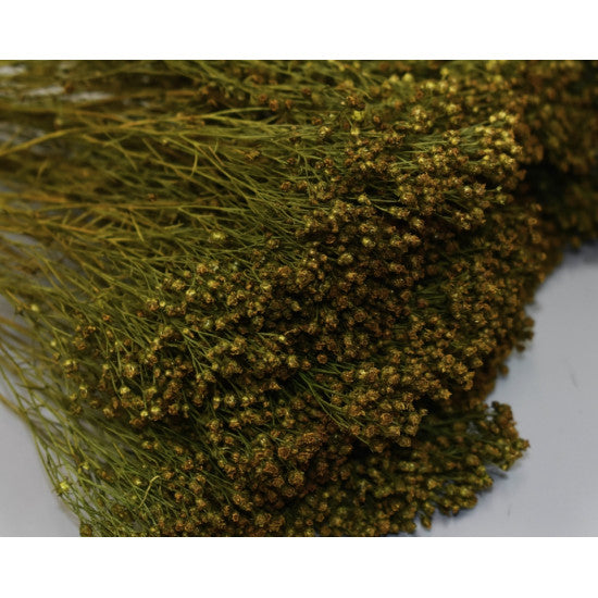 Broom Bloom 100g verde inchis