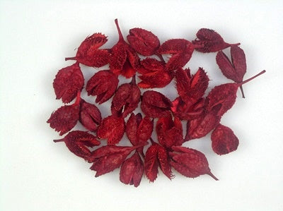 Image for Cupa de jir rosu