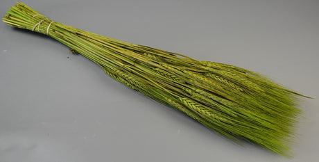 Image for Grau cu spic lung 150g verde deschis