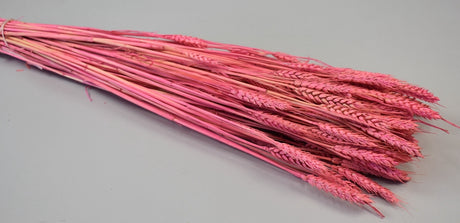 Image for Grau fara arifte 150gr inalbit roz