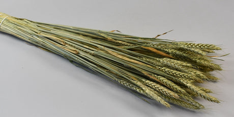 Image for Grau fara arifte natur 150gr
