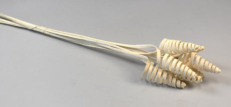 Image for Cane Cone inalbit