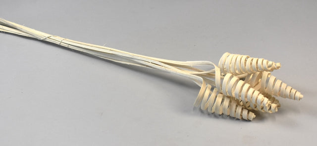 Image for Cane Cone inalbit