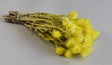 Image for Buchet capblume 30-40cm galben