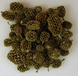 Image for Casuarina auriu&glitter