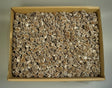 Image for Casuarina inzapezita 3.5kg
