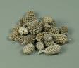 Image for Casuarina cu chiciura