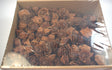 Image for Cap trandafiri cedru 3-5cm natur