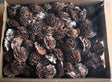 Image for Cap trandafiri cedru 5-7cm inzapezit