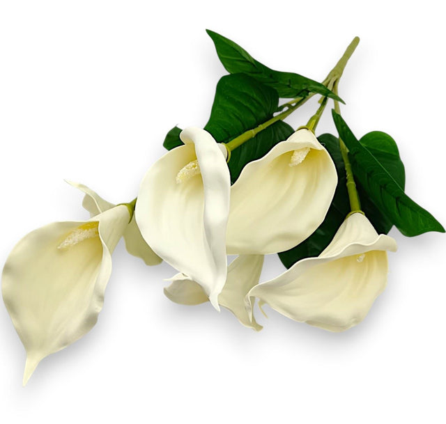 Buchet cale polifoam x7 60cm crem
