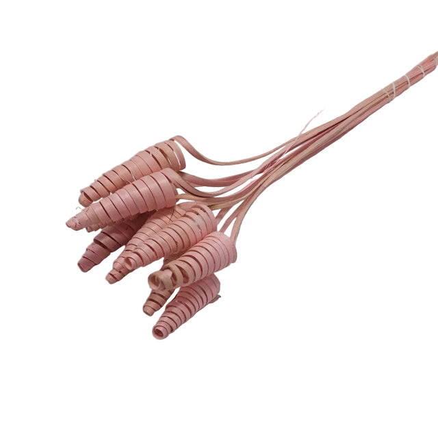 Cane cone inalbit roz