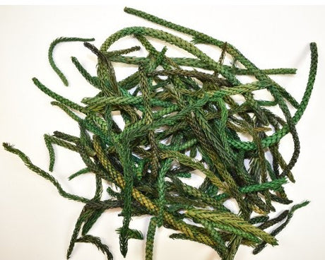 imagine produs Araucaria