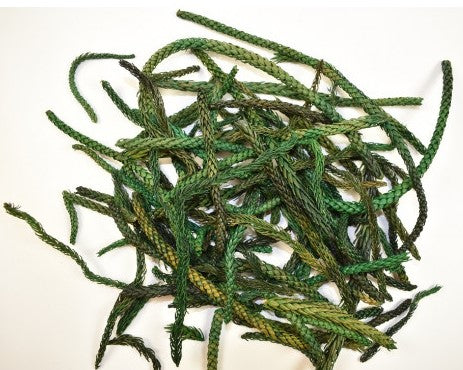 imagine produs Araucaria