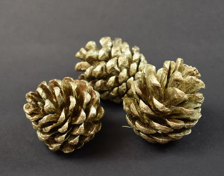 imagine produs Conuri de pin india 1kg