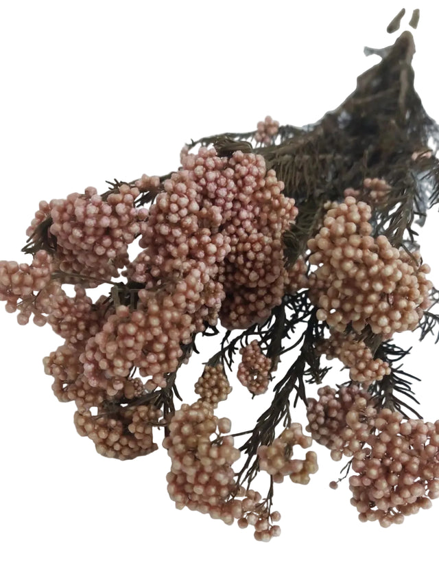 Floare de orez preparat roz