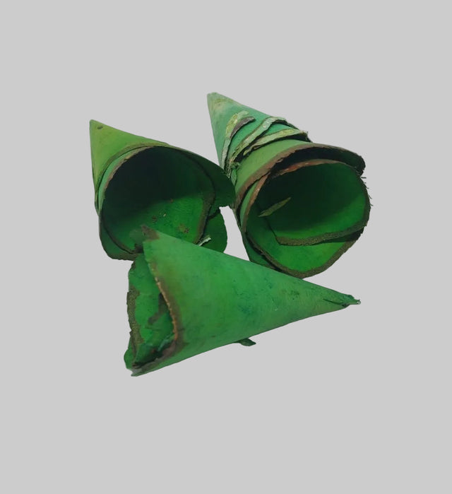 Conuri din mesteacan 8x7cm verde deschis