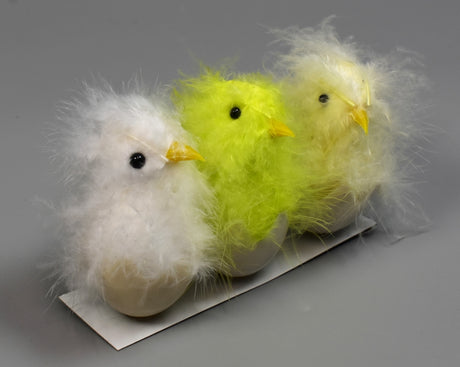 Image for Pui in oua s/3