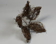 Image for Suport buchet salim 20cm forma floare natur