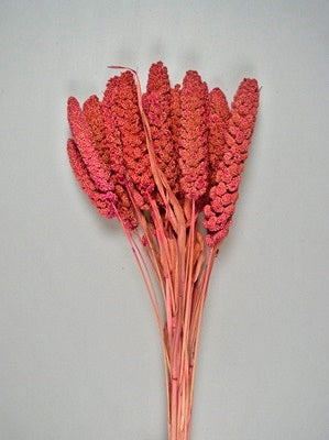 Image for Ciumiz 100gr roz