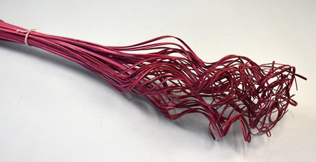 Image for Curly ting ting bordeaux
