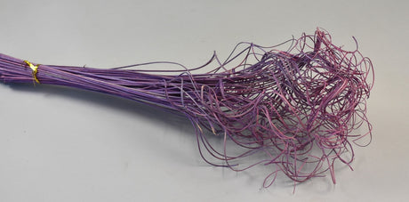 Image for Curly ting ting inalbit mov