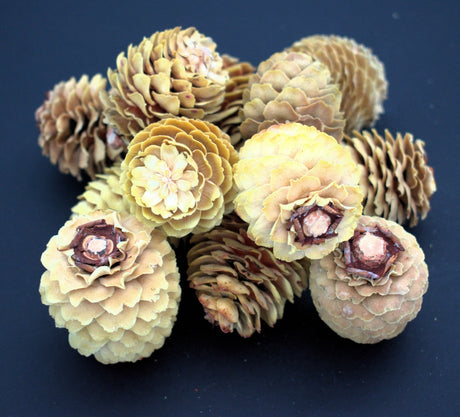 Image for Decorum crem