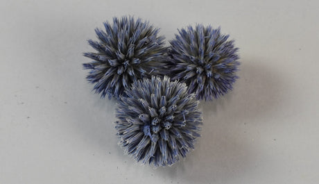Image for Cap echynops vopsit very pery