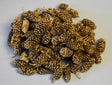 Image for Fructe arini indiane auriu