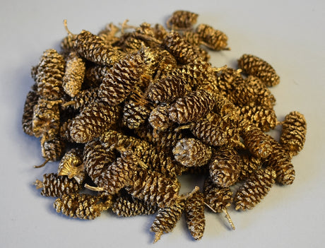 Image for Fructe arini indiane auriu