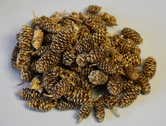 Image for Fructe arini indiane auriu